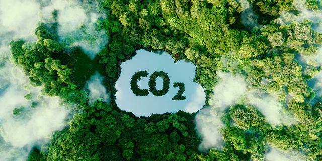 Carbon removals: a strong ally to achieve climate neutrality in the EU